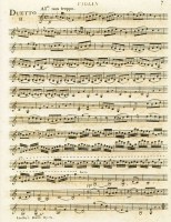 e19-violin-11